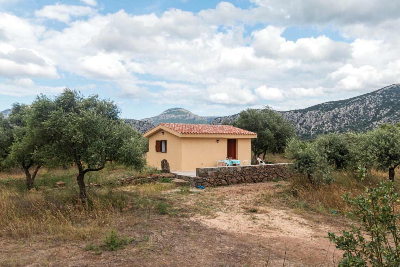 Maison d'hôtes S'Ulumu à Dorgali Extérieur photo