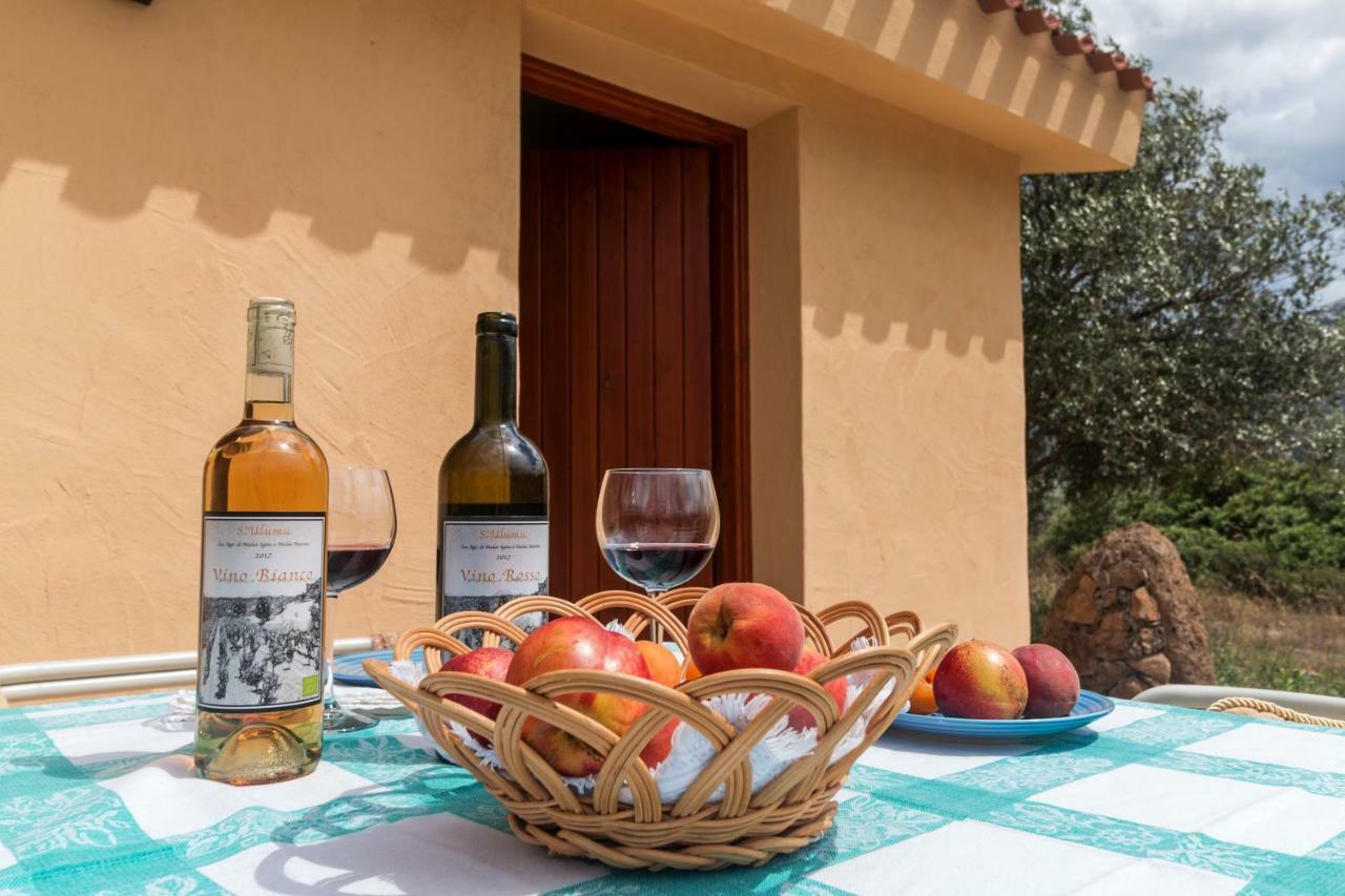 Maison d'hôtes S'Ulumu à Dorgali Extérieur photo