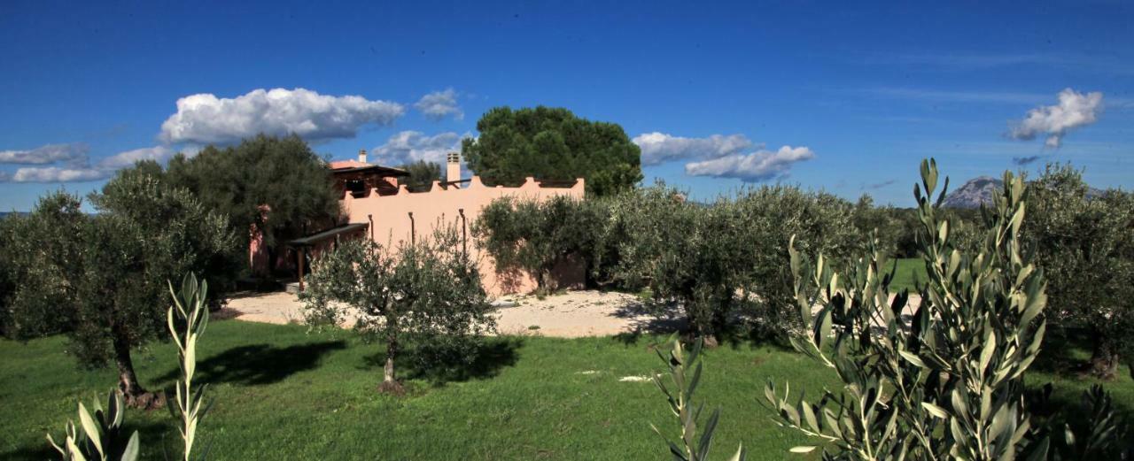 Maison d'hôtes S'Ulumu à Dorgali Extérieur photo