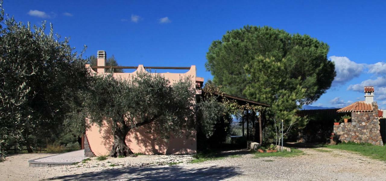Maison d'hôtes S'Ulumu à Dorgali Extérieur photo