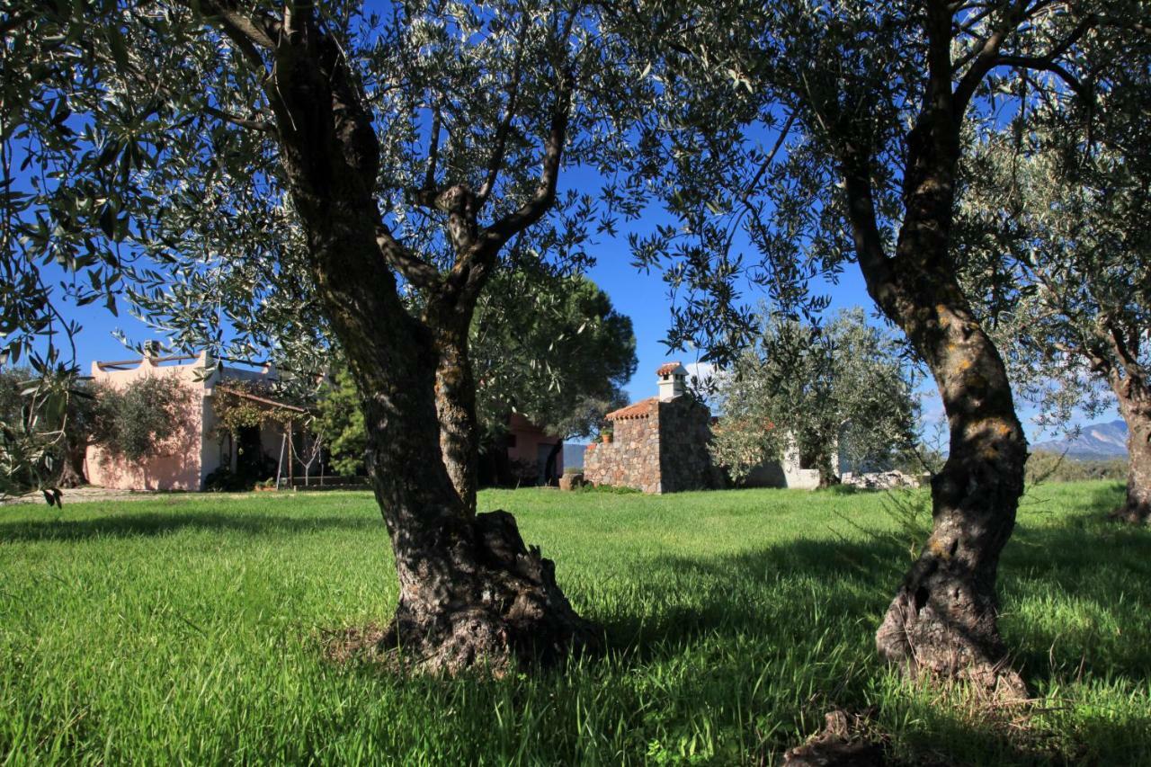 Maison d'hôtes S'Ulumu à Dorgali Extérieur photo